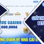 Gioi-thieu-ve-BET88